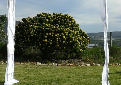 12046943_825015507596494_5119863277548204781_n