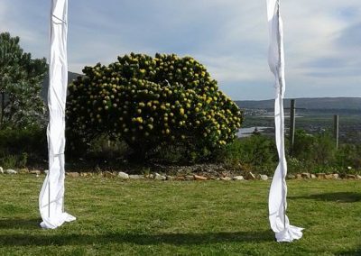 12088208_825062444258467_3067727655867458152_n